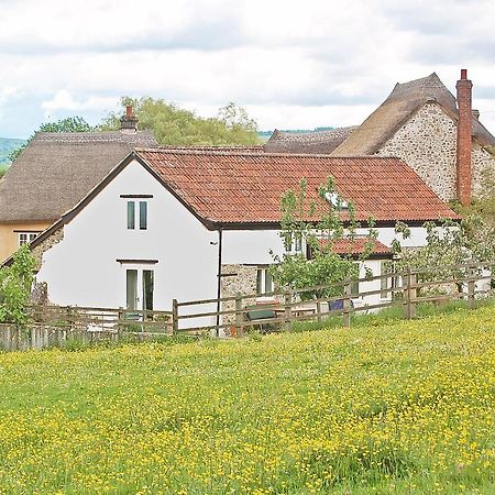 Old Orchard Cottage Colyton Extérieur photo