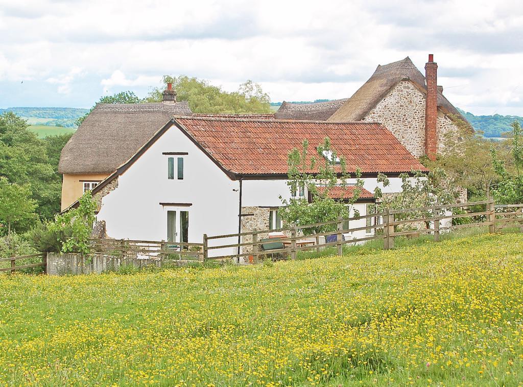 Old Orchard Cottage Colyton Extérieur photo